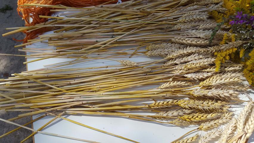 Auch Getreideähren wurden in den Kräuterbuschen verwendet.