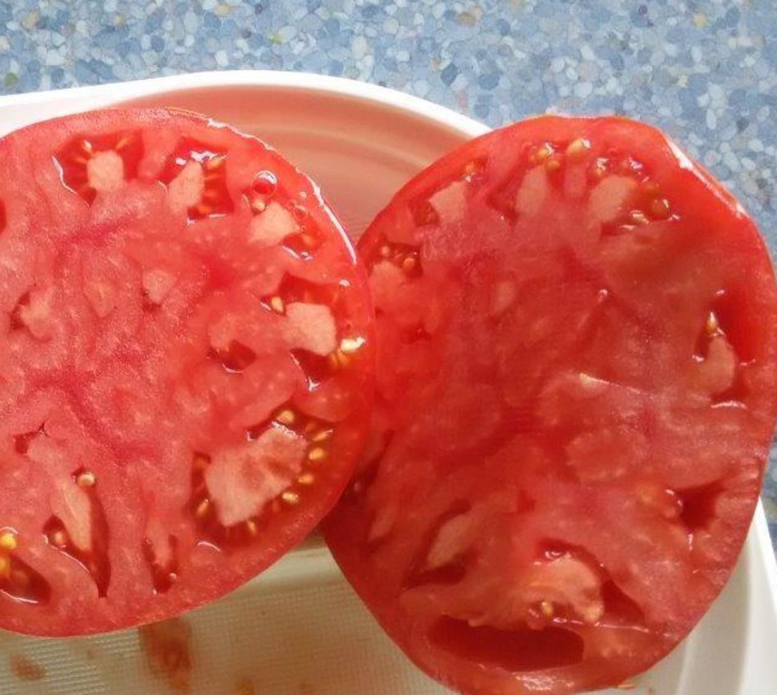 Die TomatenArche von Wassermungenau