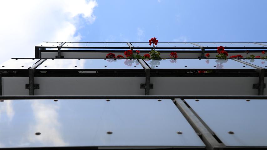 16. August: Wenigstens sie freuen sich über den Sonne-Wolken-Schauer-Mix: Nürnbergs Balkonpflanzen recken neugierig ihre Blütenköpfe über die Geländer.