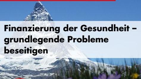 Die Slogans "Unser Programm für Deutschland" und "Hol Dir Dein Land zurück" werden kühn mit dem Matterhorn illustriert. Das steht allerdings nicht in Deutschland, sondern in der Schweiz.