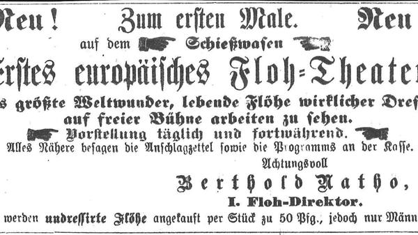 Das gab es wirklich: Floh-Theater. Dafür wurden per Zeitungsannonce Flöhe gesucht, aber bitte nur männliche. Die ließen sich offenbar besser dressieren.