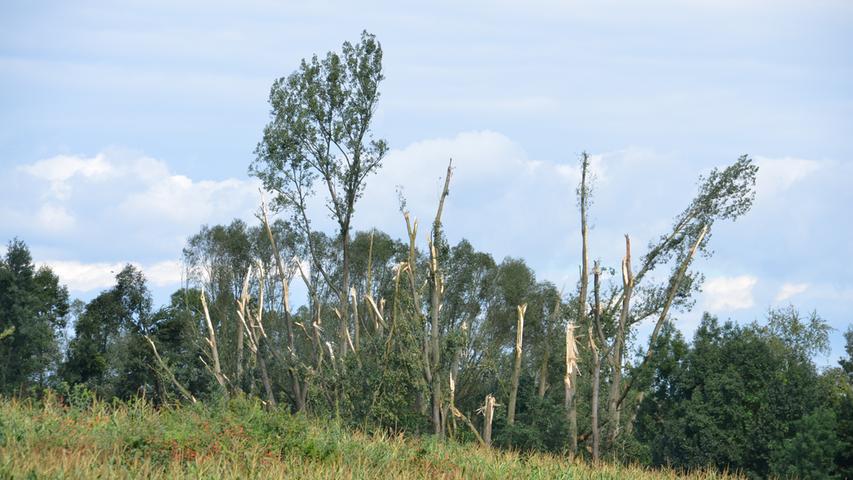 Schwere Schäden: So wütete der Sturm am 18. August in und um Fürth