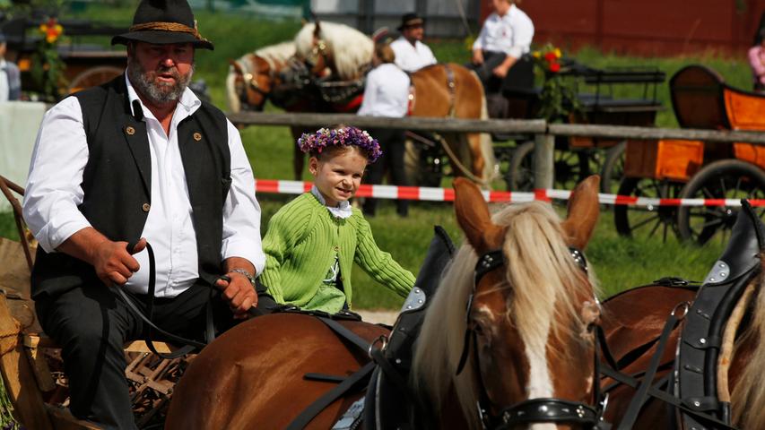 Pferdetag im Knoblauchsland: 