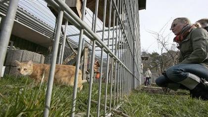 Das Tierschutzhaus hat den Landkreis ausgeklammert