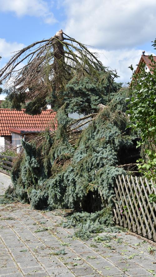 Cadolzburg und Co.: Nach dem Sturm wird aufgeräumt
