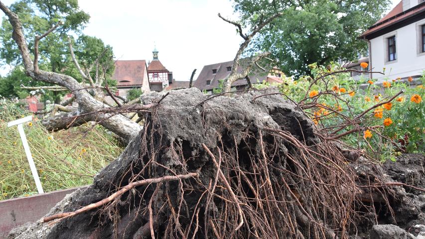Cadolzburg und Co.: Nach dem Sturm wird aufgeräumt