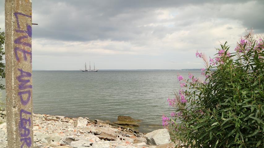 Die "Thor Heyerdahl" läuft im Hafen der estnischen Hauptstadt Tallinn ein. Hier beginnt die dritte Etappe der Fahrt mit neuer Besetzung an Bord.