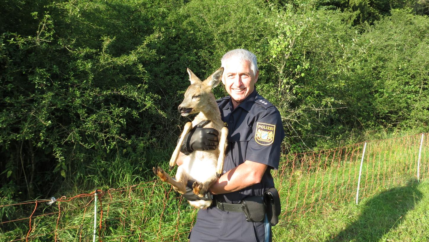 Parsberger Polizei rettet Bambi