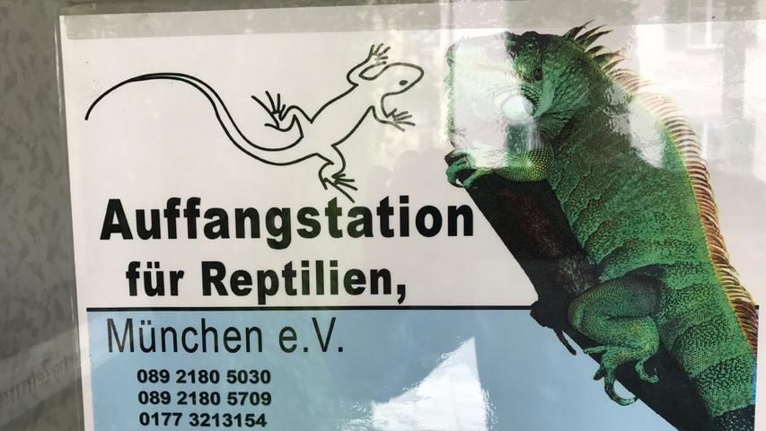 Ein unscheinbares Schild an einer unscheinbaren Tür in einem unscheinbaren Gebäude. Im Keller der tiermedizinischen Fakultät der Münchner Universität beherbergt die Reptilienauffangstation ihre verstoßenen Gäste.