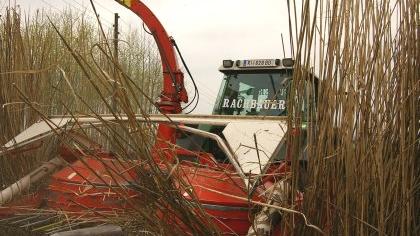 Bauern unterstützen Biogas-Projekt der infra