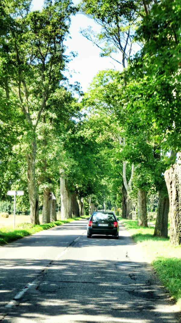Polen ist auch das Land der Alleen. Die stammen in den ehemals deutschen Gebieten fast alle noch aus Kaiser Wilhelms Zeiten. Das Kopfsteinpflaster wurde indes häufig durch Asphaltstraßen ersetzt. Die sind teils glatt wie ein Babypopo, meist aber recht holprig.