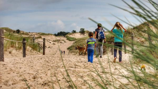 Polnische Sahara nennen sich die Wanderdünen bei Leba. Von Czolpino führt ein neun Kilometer langer Rundwanderweg durch den Wald, über die Dünen, entlang am Meer und über den Leuchtturm zurück zum Übernachtungsparkplatz.