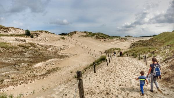 Polnische Sahara nennen sich die Wanderdünen bei Leba. Von Czolpino führt ein neun Kilometer langer Rundwanderweg durch den Wald, über die Dünen, entlang am Meer und über den Leuchtturm zurück zum Übernachtungsparkplatz.