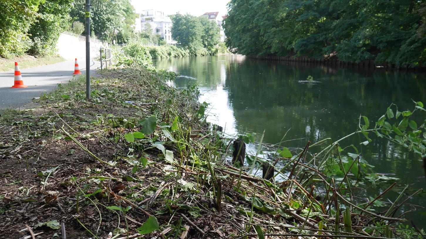 Weil Büsche und Sträucher immer weiter in den Rad- und Fußweg hineinragen, lässt das Wasserwirtschaftsamt den Bewuchs nun ordentlich zurückschneiden und ausdünnen.