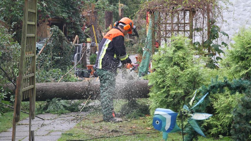 Fällarbeiten in Egersdorf: Baum drohte auf Wohnhaus zu stürzen