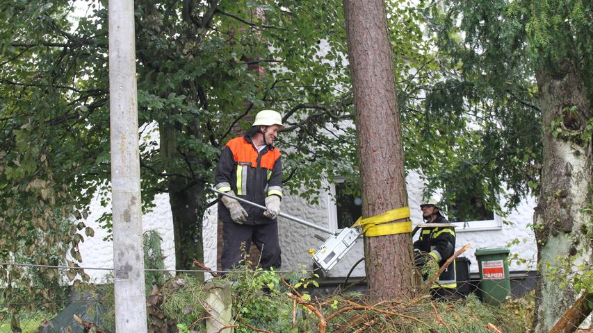 Fällarbeiten in Egersdorf: Baum drohte auf Wohnhaus zu stürzen