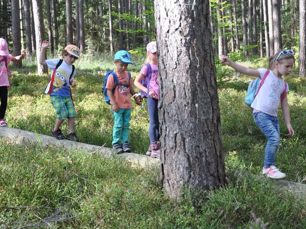 Mitteleschenbach: Kinderwald hat viel zu bieten