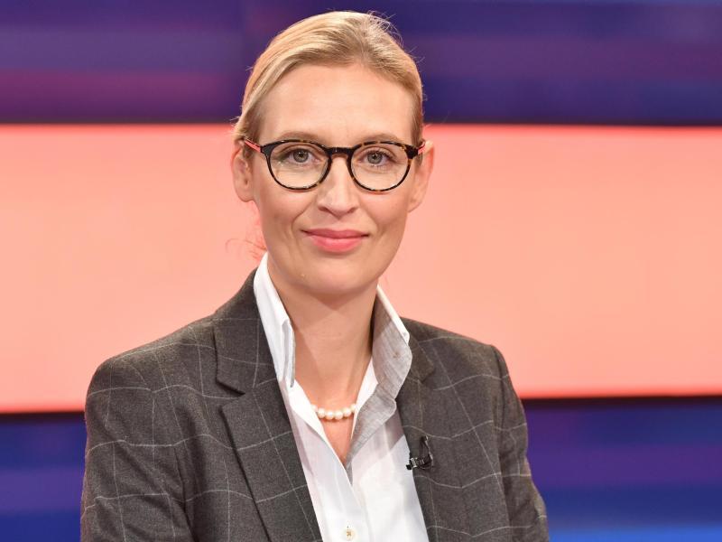 Spendenaffäre Droht: AfD-Vorsitzende Weidel In Bedrängnis