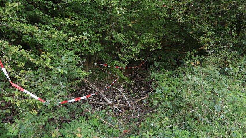 Waldstück bei Gräfendorf: Geocacher stoßen auf Skelett