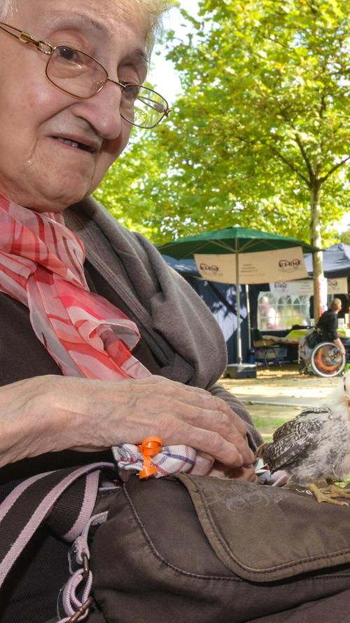Fit und fröhlich: Der Seniorentag im Rother Stadtgarten