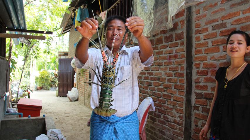 Gehört zu den Spezialitäten entlang des Ngapali-Beaches: Fangfrischer Hummer zum günstigen Preis.