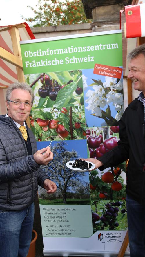 Kreisgartentag Kersbach: Wenn Pflanzen und Natur im Mittelpunkt stehen