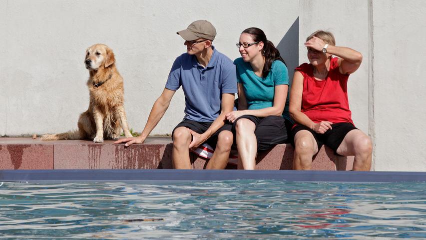 Und auch in Nürnberg sehnte man sich Ende September noch nach Abkühlung. Beim Hundebadetag im Stadionbad am 24. September waren auch die Vierbeiner über das wohltuende Wasser froh...