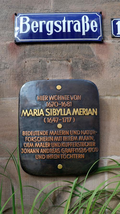 Gabriele Stauß vom Verein der Gästeführer Nürnbergs weiß um die beeindruckende Persönlichkeit von Maria Sibylla Merian. Die bekannte Naturforscherin und Künstlerin des Mittelalters hat in ihrem imposanten Lebenslauf auch Nürnberg stehen. Die Alleinerziehende von zwei Kindern entdeckte etwa, dass aus einer Raupe ein Schmetterling entschlüpft. Nicht genug, sie malte ihre Beobachtungen auch künstlerisch auf. Der Rundgang führt unter anderem zum Maria Sibylla Merian-Haus in der Burgstraße. Heuer jährt sich ihr 300. Todestag. Samstag und Sonntag: 16 und 18 Uhr. Treffpunkt: Infozelt auf dem Sebalder Platz. Nr. 29.