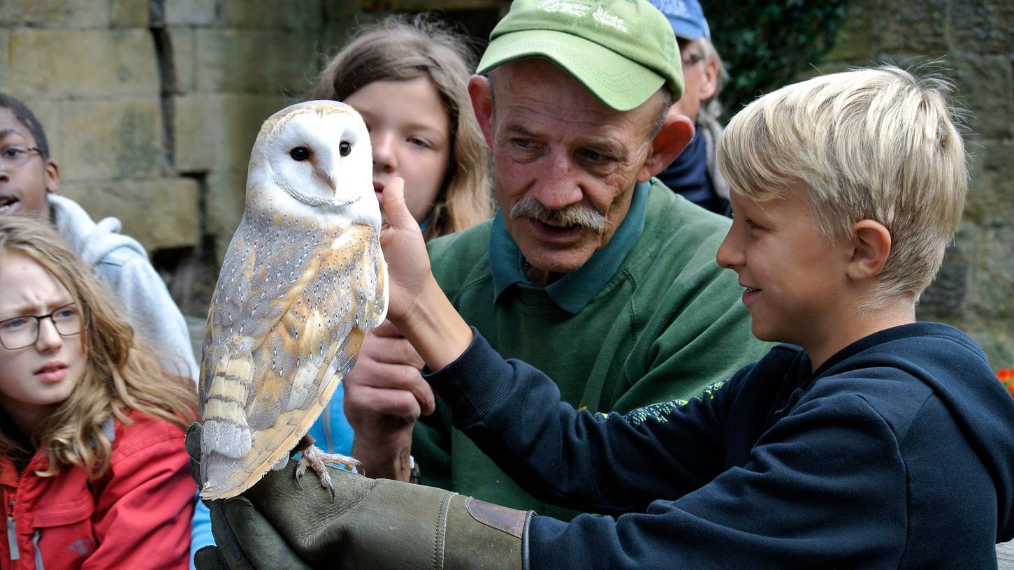 Familien lernen Englisch bei Harry Potter