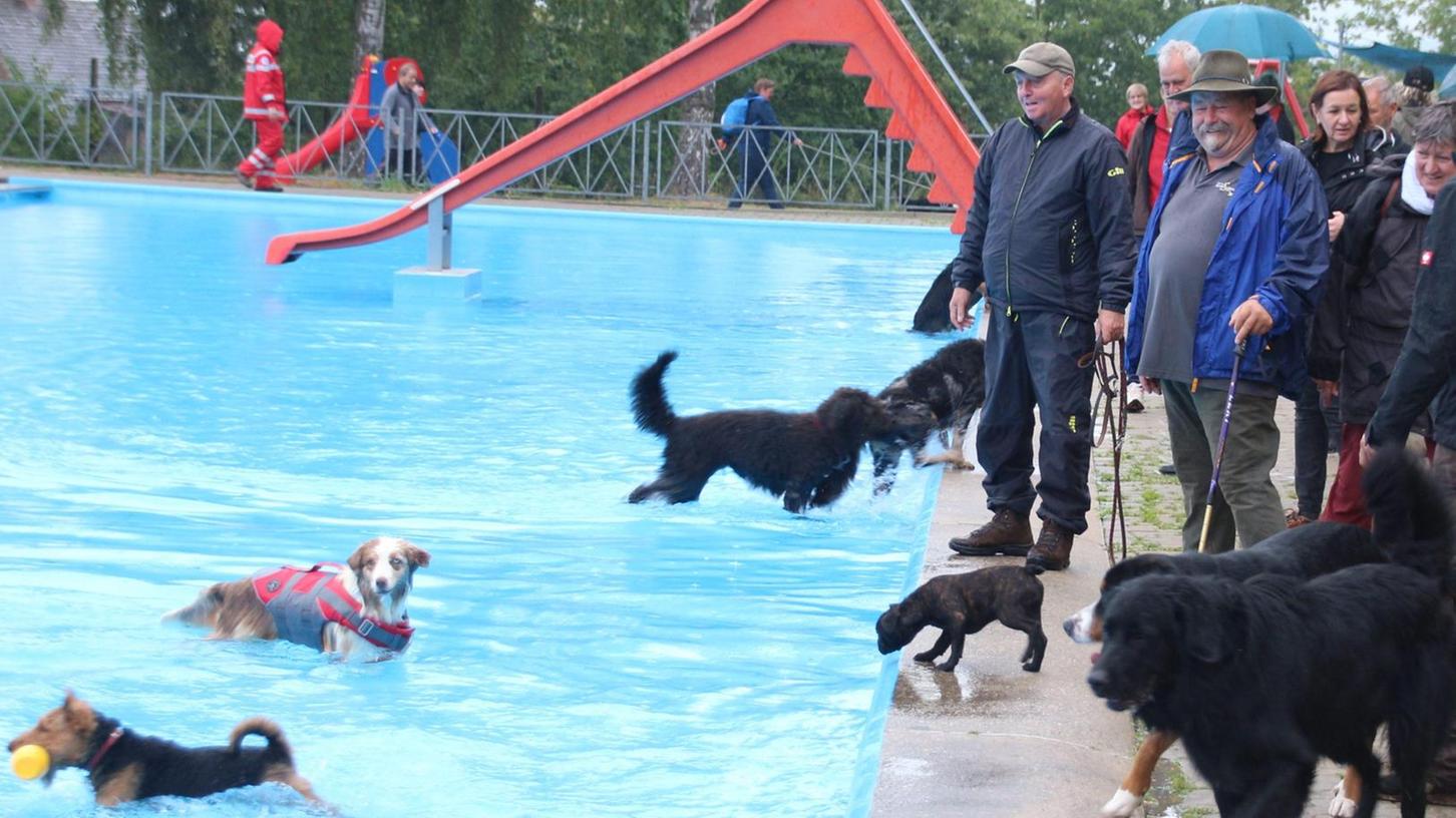 Hundeschwimmtag zum Abschluss der Badsaison