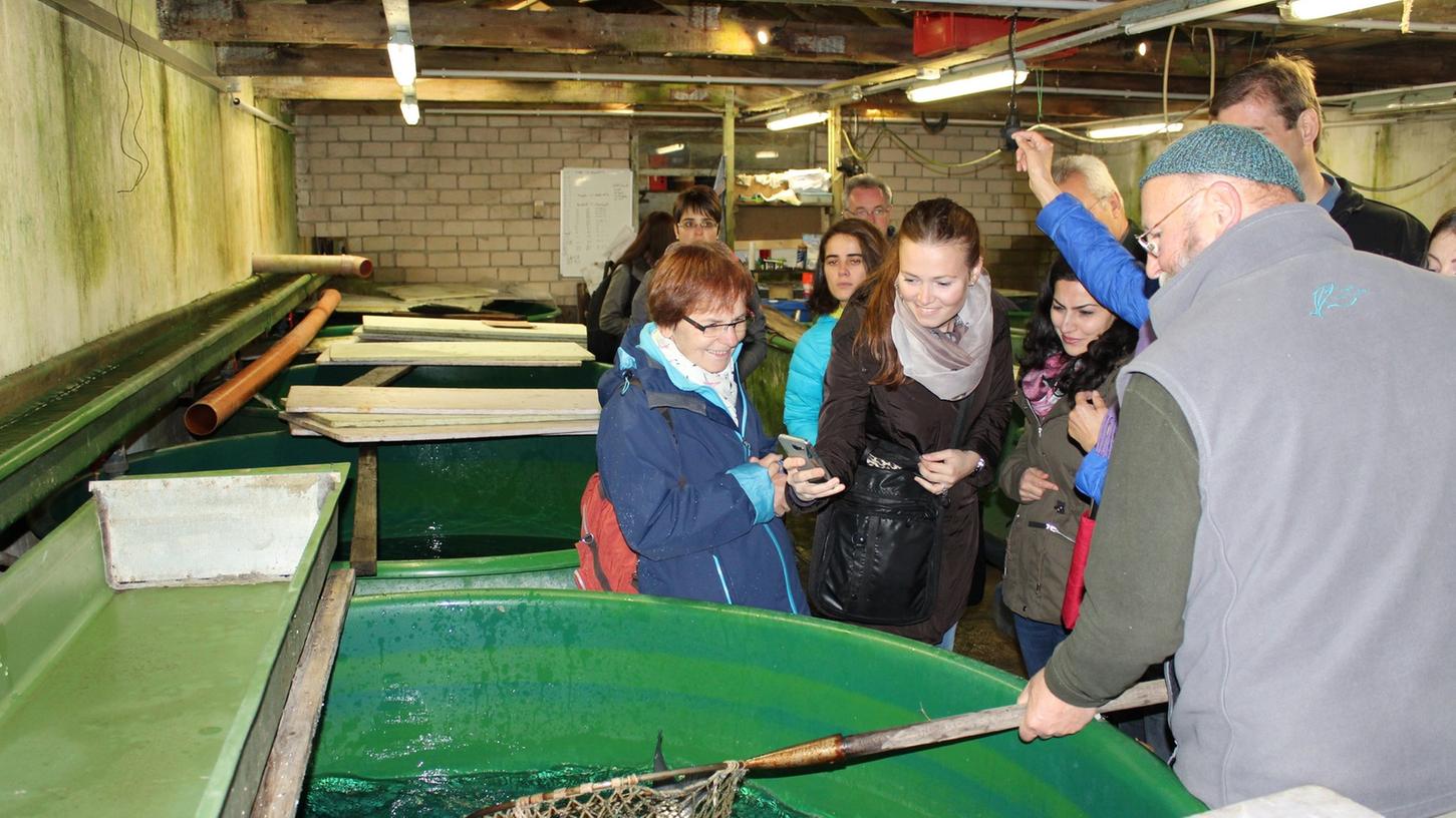 Nicht im Supermarkt, sondern direkt beim Produzenten waren die Schüler der Berufsfachschule für Ernährung und Versorgung in Forchheim: Bei der Fischzucht Schwegel in Wüstenstein gab es echten Praxis-Unterricht.