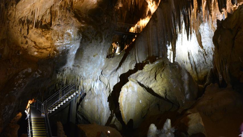 Rund eineinhalb Autostunden von Hobart entfernt kann man dieses Naturwunder bestaunen: Die Hastings-Höhle. 500 Stufen führen in die Tiefe. In die Höhle kommt man nur mit einer Führung. Die dauert rund 45 Minuten und ist jeden Cent wert.