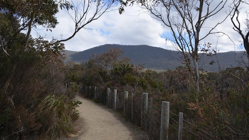 Gut erschlossene Rund- und Wanderwege gibt es am Eaglehawk Neck nahe Hobart.