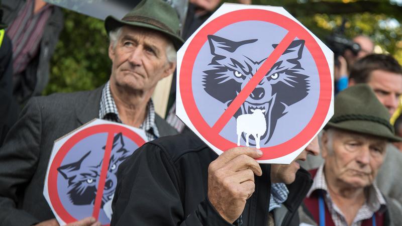 Unter dem Motto "Weidetiere statt Wolfsreviere" demonstrieren rund 300 Bauern für einen besseren Schutz ihrer Tiere.