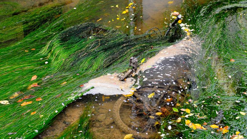 Kraftwerks-Reparatur 2017 in Forchheim: Wiesent geht das Wasser aus