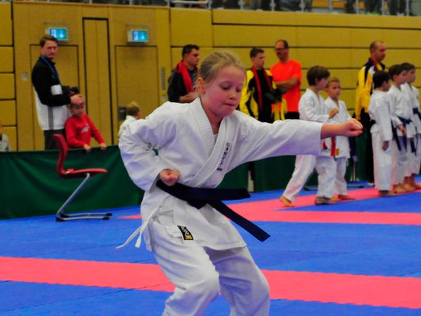 Karatekids: Der Kampf um die Meisterschaften 