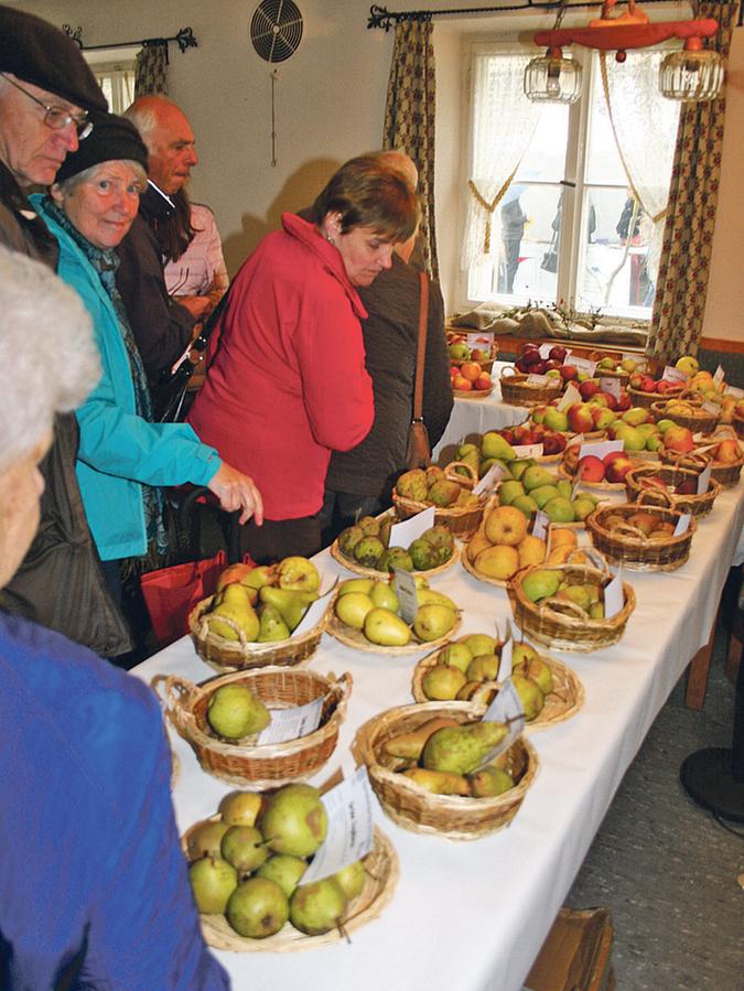 Weißenburger Streuobsttag mit mehr als 100 Apfel- und Birnensorten
