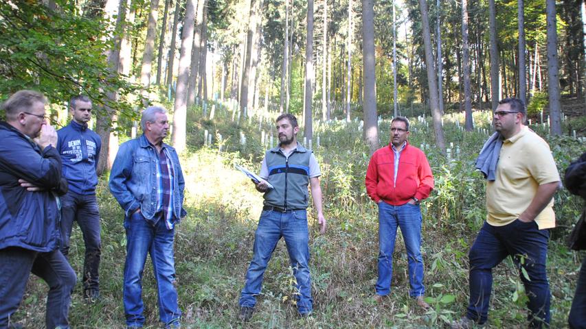 Revierförster Daniel Schenk erklärt im Gemeindewald die Probleme mit Borkenkäfern und dem Indischen Springkraut bei der Neuanpflanzung von Jungbäumen.