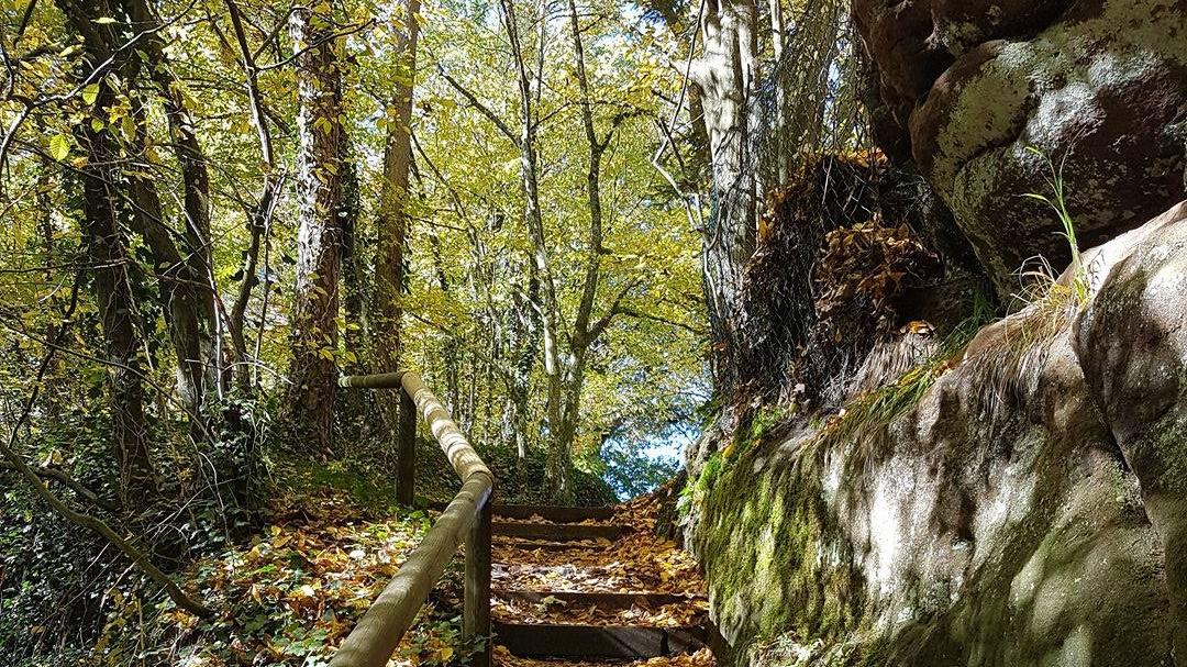 Eines der Holzgeländer war so morsch, dass es unter dem Gewicht des Mannes nachgab. Dieses Bild zeigt die Schwarzachklamm, aber nicht die Unfallstelle.