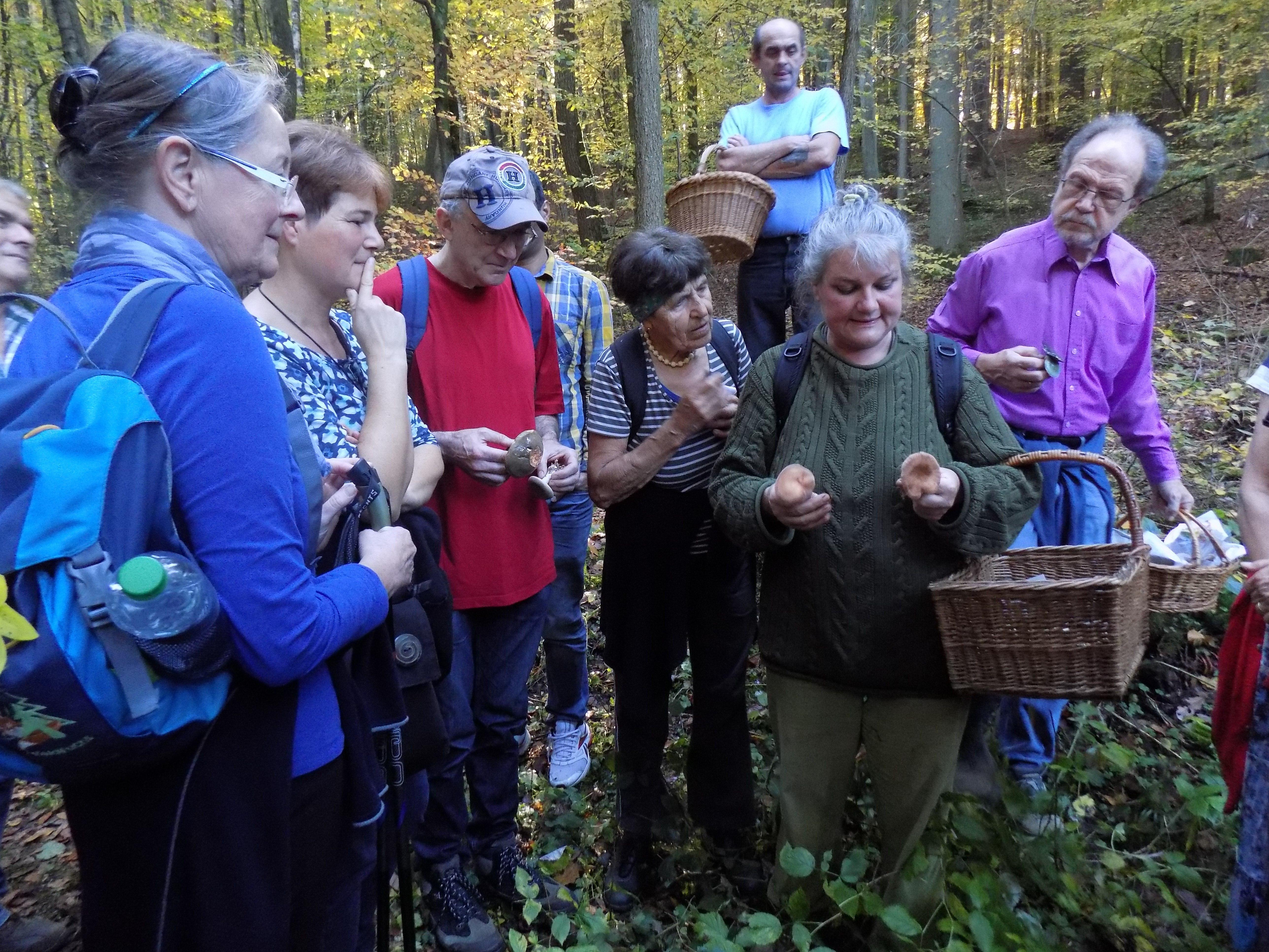 Was ist beim Sammeln von Pilzen zu beachten? Und welche Pilze sind essbar, welche giftig? Biologin und Pilz-Expertin Diana Härpfer ging bei einem Waldspaziergang nahe Ebermannstadt diesen Fragen auf den Grund.