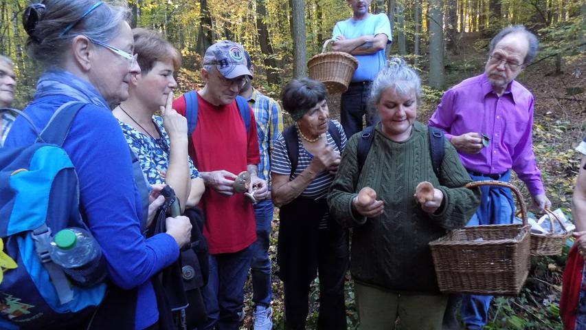 Was ist beim Sammeln von Pilzen zu beachten? Und welche Pilze sind essbar, welche giftig? Biologin und Pilz-Expertin Diana Härpfer ging bei einem Waldspaziergang nahe Ebermannstadt diesen Fragen auf den Grund.