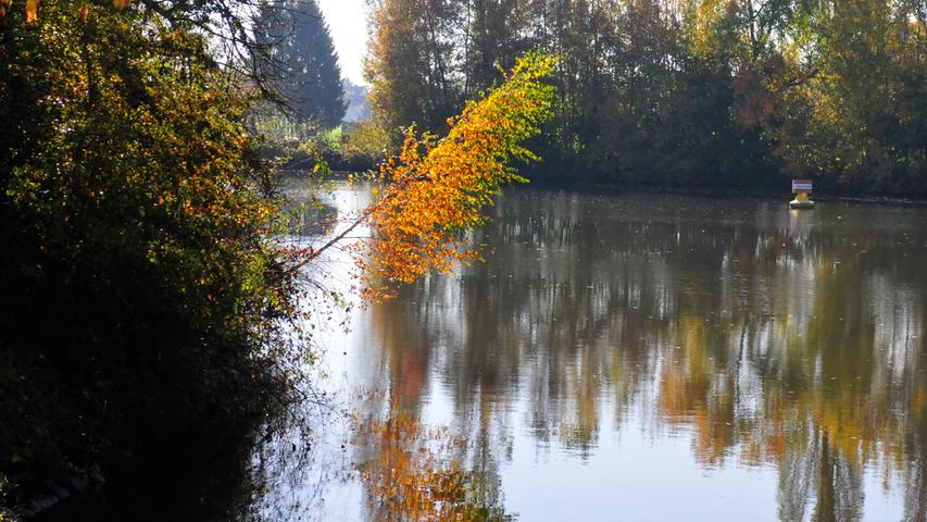 Goldener Herbst im Landkreis Forchheim