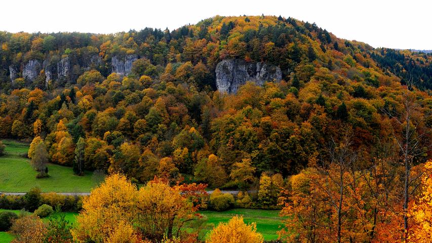 Goldener Herbst im Landkreis Forchheim