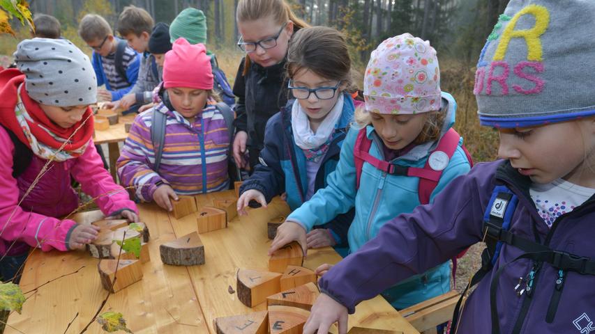 Lernen im Wald: Ein spannender Tag für Hilpoltsteiner Grundschüler