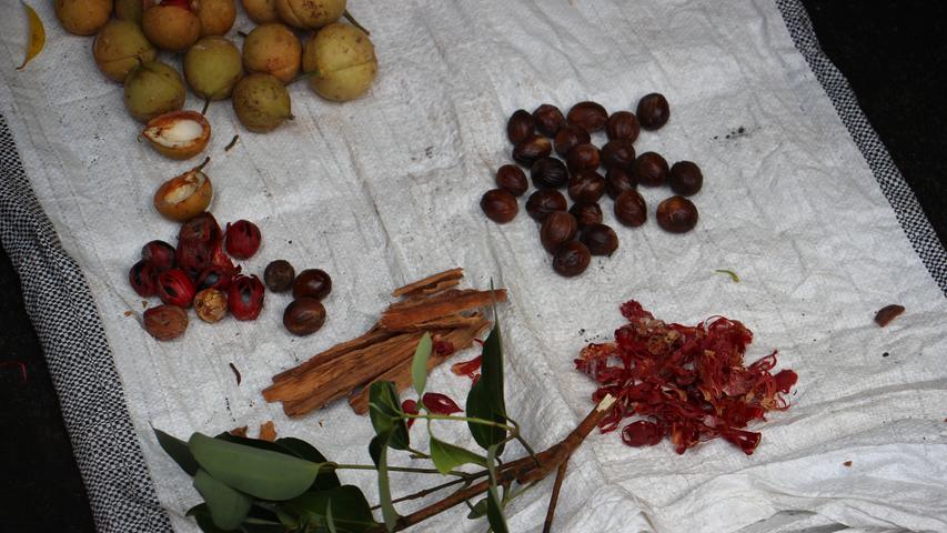 ...die Muskatnussblüte (rechts vorne), auch Macis genannt. Sie wird auch zum Würzen verwendet, schmeckt aber milder als der Samen.