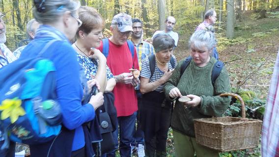 Bei einer Pilzführung nahe Ebermannstadt erfuhren die Teilnehmer, auf welche Merkmale sie achten müssen.