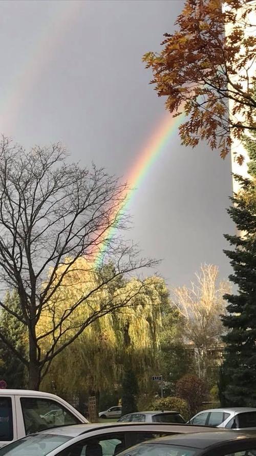 Leserfotos: Traumhafter Regenbogen begeistert die Region