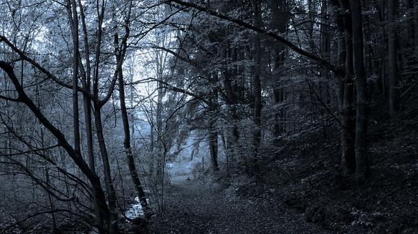 Viele Sagen und Legenden ranken sich um Egloffstein in der Fränkischen Schweiz. So soll es im Todtsfeldstal zum Beispiel spuken. Als ein Mann, so die Sage, dort spazieren ging, hörte er plötzlich neben sich einen kräftigen Nieser. "Helf Gott", sagte der Spaziergänger daraufhin und drehte sich um, sah aber keinen Menschen. Gleich darauf hörte er den Nieser zum zweiten Mal, noch näher als zuvor. Beim dritten Mal wurde der Mann zornig und schrie voll Wut: "Helf dir Gott in Himmel nauf!" Er erschrak, als neben ihm eine dumpfe Stimme sagte: "Gott sei Dank. Nun hast du meine Seele erlöst." Außerdem haust in der Gegend des Teufelsgrabens noch heute eine Gestalt: der Hund mit den feurigen Augen. Er läuft der Sage nach auf der Thuisbrunner Leite den Menschen über den Weg.