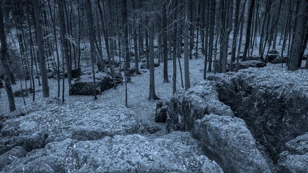 Seinen Namen erhielt das Waldgebiet in der Fränkischen Schweiz aufgrund der ungewöhnlichen Felslandschaft, die die Phantasie der Besucher anregte. Dem Volksglauben nach soll es sich um eine Kultstätte keltischer Priester, sprich Druiden, gehandelt haben. Darüber hinaus sollen dort der Raubritter Eppelein von Gailingen und seine Bundesgenossen zu mitternächtlicher Stunde einen Treueschwur zelebriert haben. Und die Leute aus dem nahegelegenen Wohlmannsgesees glaubten an ein Bankett der Hexen mit Kinderfleisch und Menschenblut. Deshalb munkelt man, dass es dort in der Nacht nicht ganz geheuer sei.
