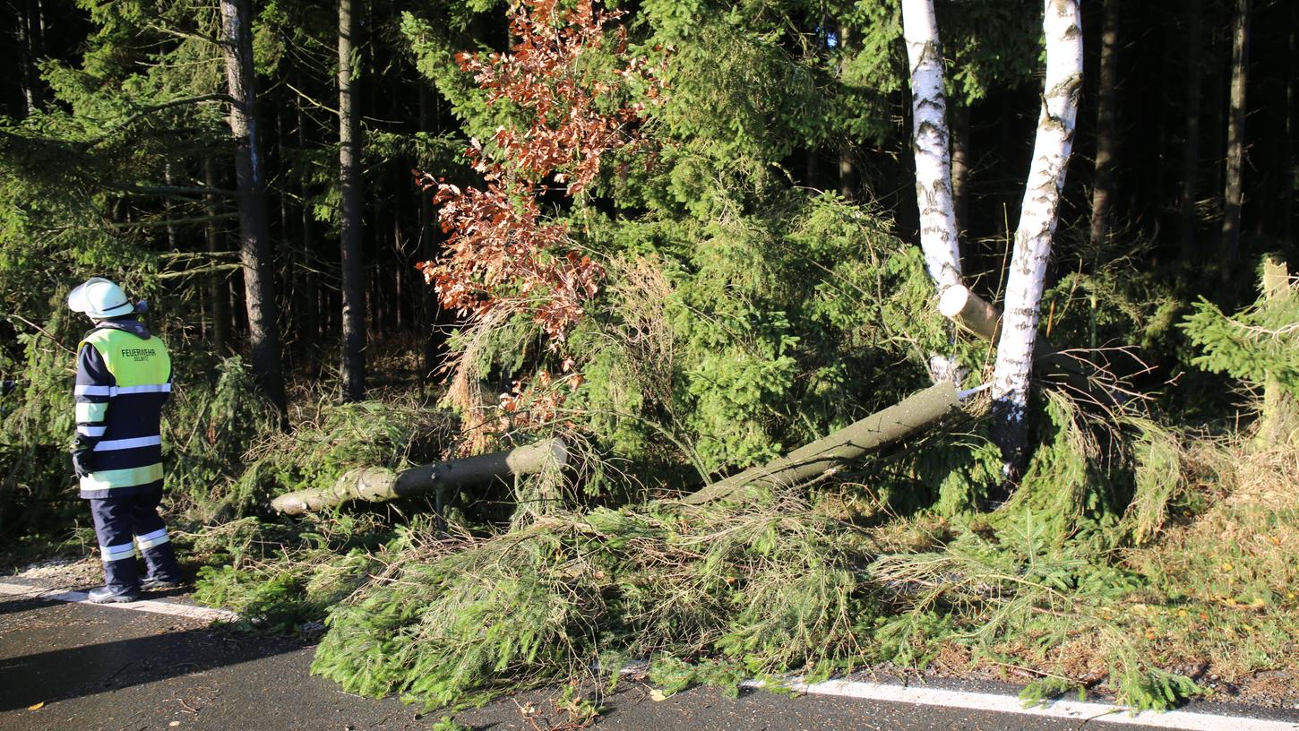 Wie bei Memmelsdorf (LK Bamberg) stürzten auch im Landkreis Erlangen-Höchstadt einige Bäume um. Auch ein Baugerüst hielt nicht stand. Insgesamt aber hielten sich die Schäden in Grenzen.